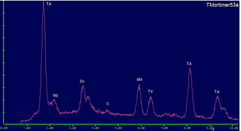 Wodginite EDS plot